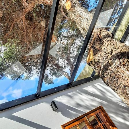 Beach Tree House ปอร์ตซานโต ภายนอก รูปภาพ